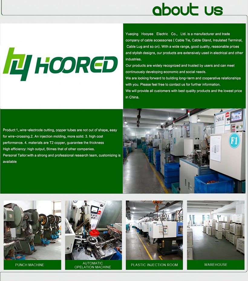 Production Process