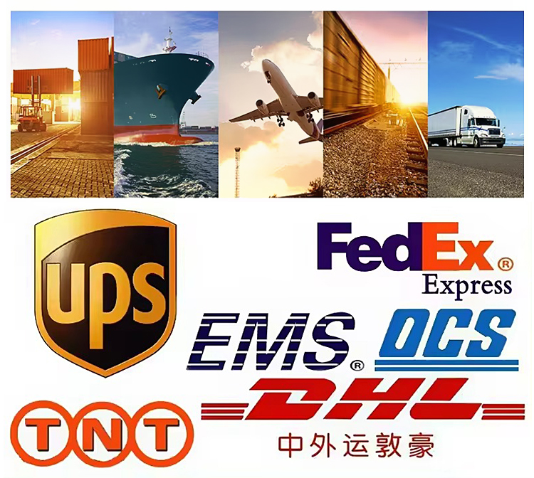 Shipping Logistics Details