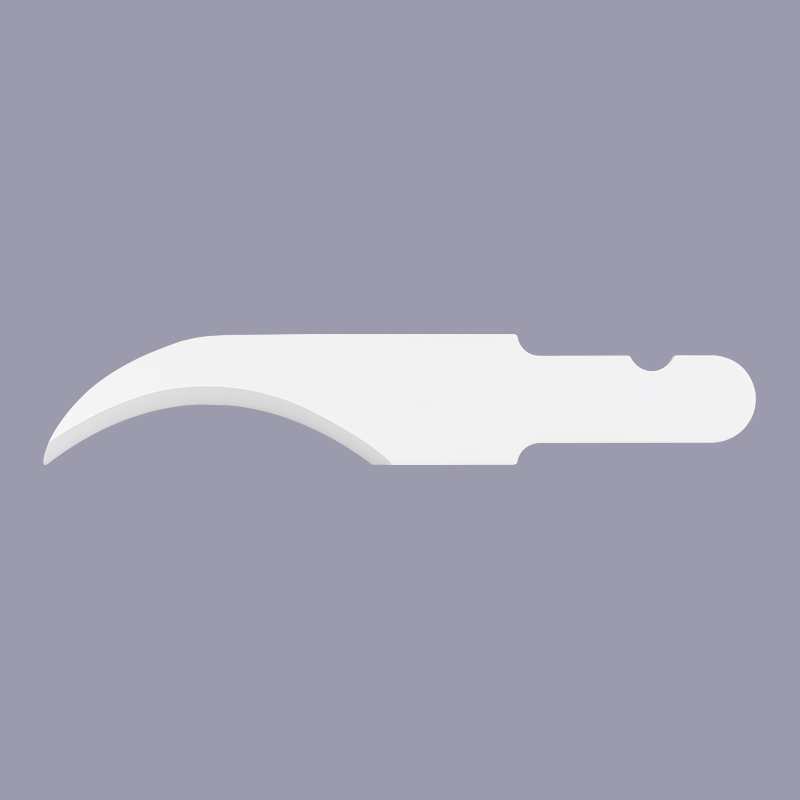 Ceramic Blade Sample 3
