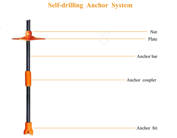 Anchor System Structure Layout