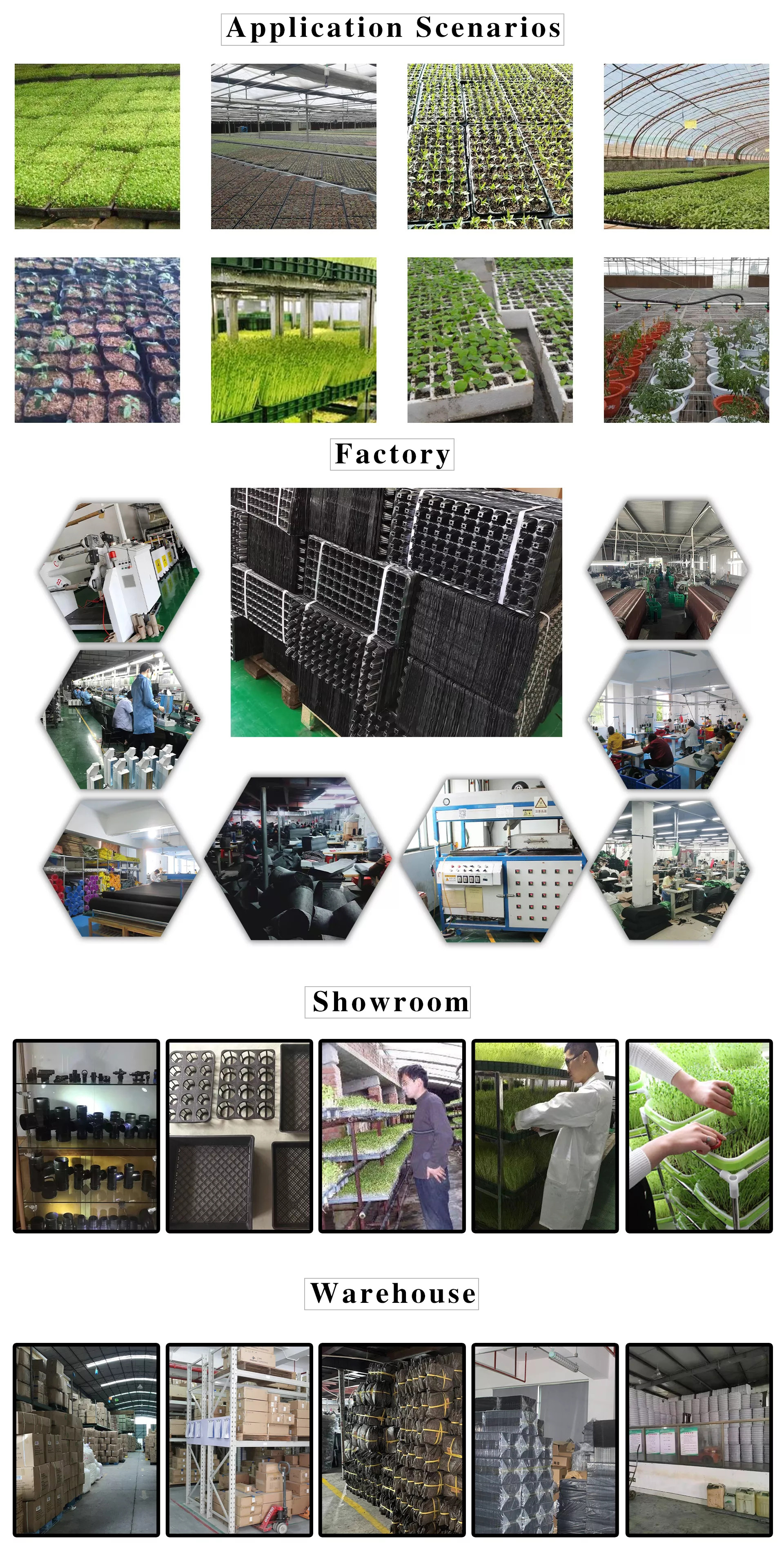 Company Profile