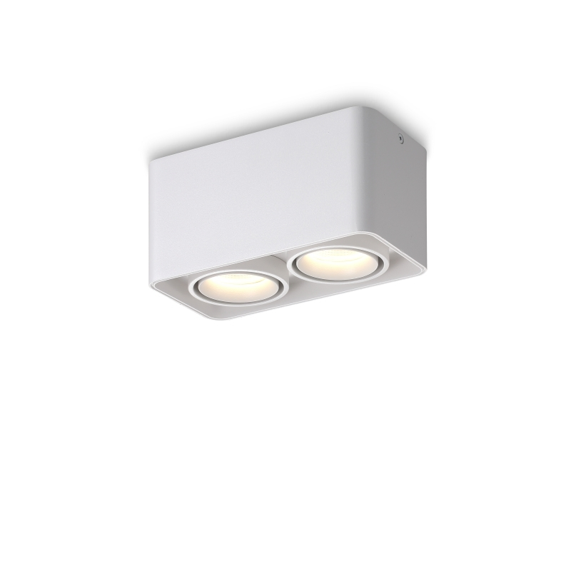 Ceiling Mounted Spot Light Low-Glare COB LED Architectural Light Project IP54 COB OEM ODM Spot Light (L08052)
