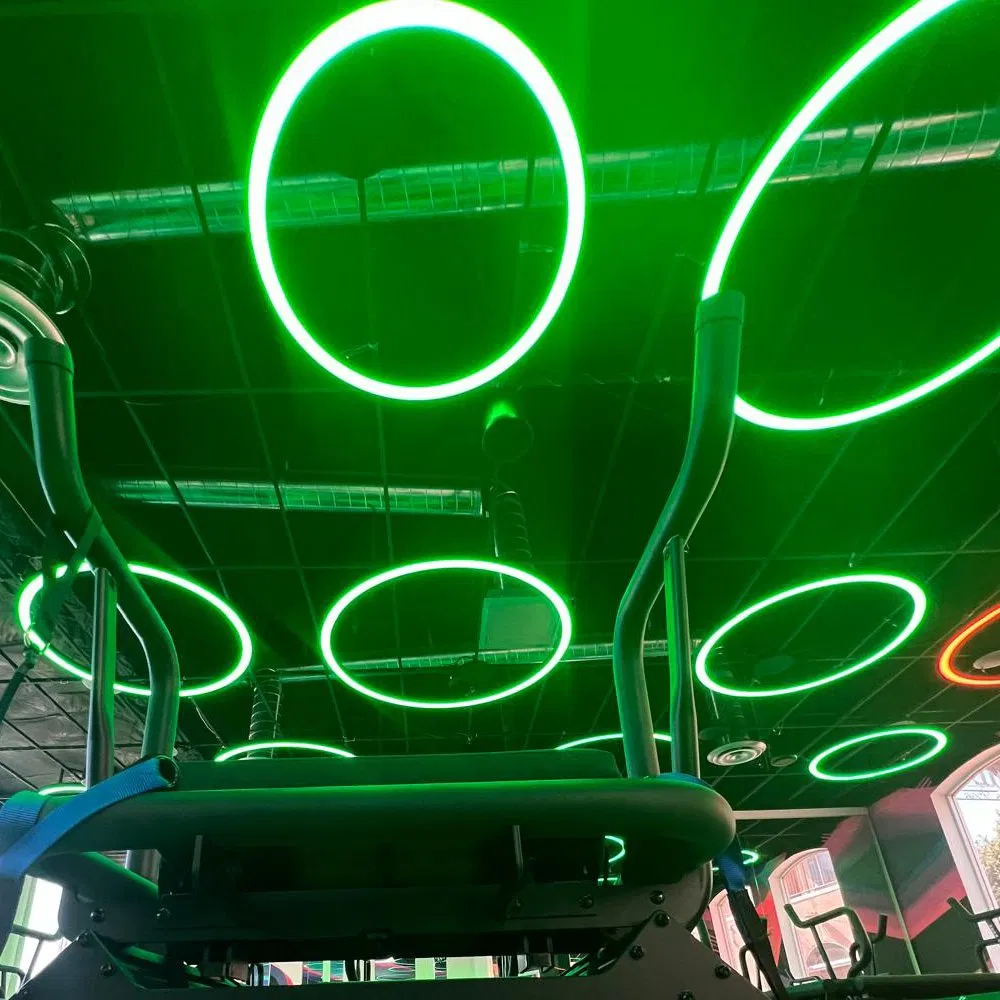 Profile Curved RGB Colorful Circular LED Chandelier Pendant Light