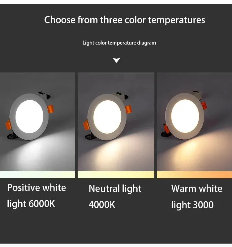 LED Downlight Detail 2