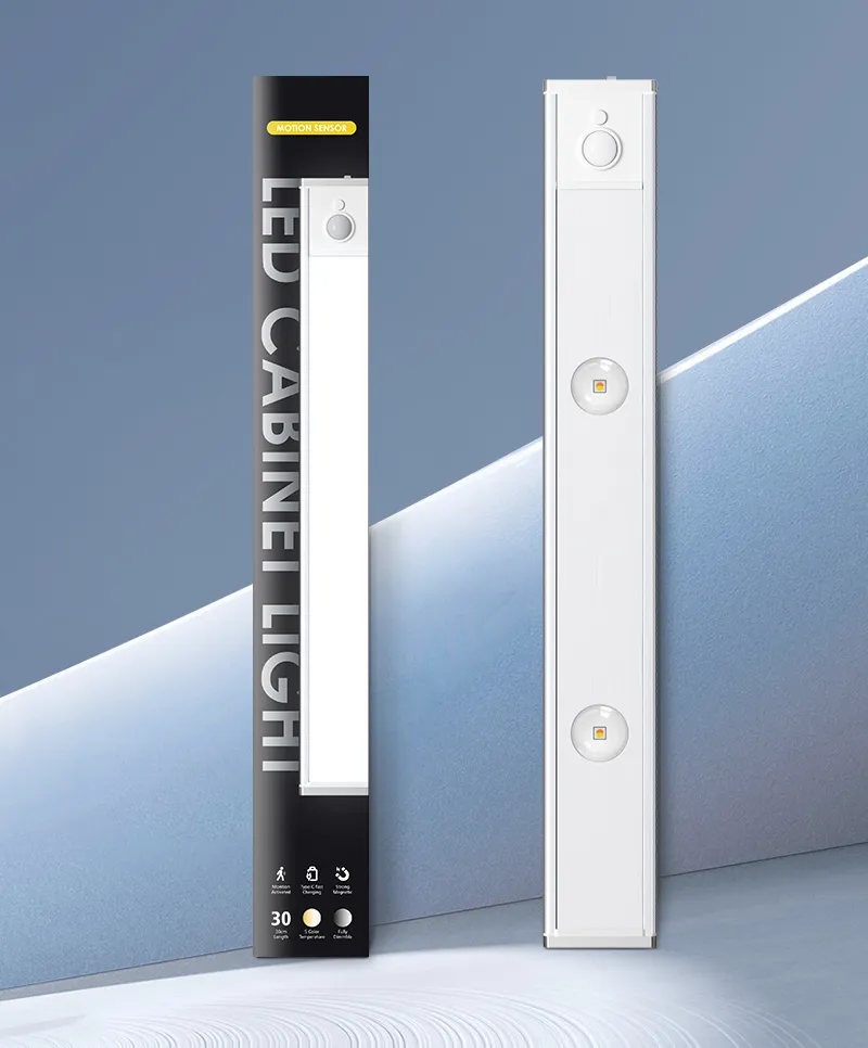 Motion Sensor Light Detail 2