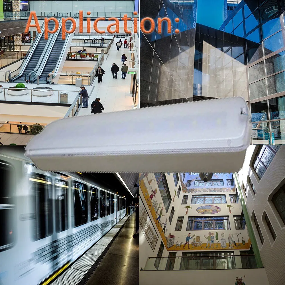 Auto Self-Test Customize Direct Luz De Emergencia Ni-CD Battery 3PCS LED 1.5W LED Rechargeable Emergency Light for Market