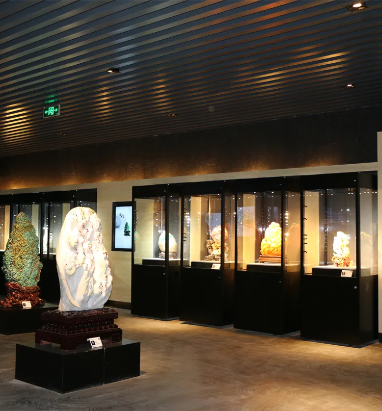 Museum Display