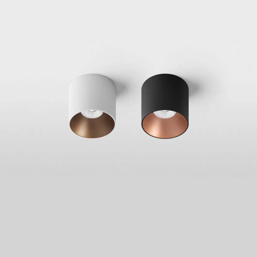 Ceiling Mounted Spotlight