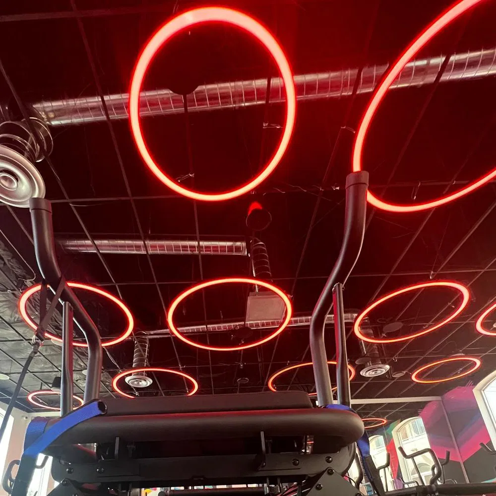 Profile Curved RGB Colorful Circular LED Chandelier Pendant Light