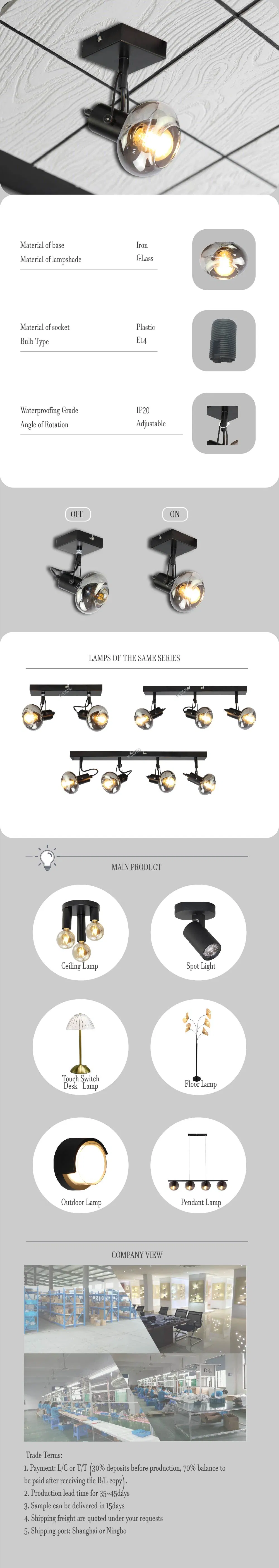 Wall Spotlight LED