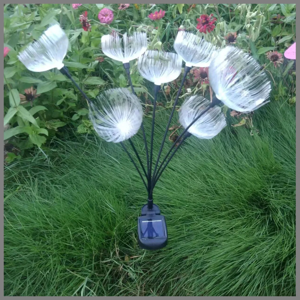 Decorative LED Christmas Light Holiday Light with Eco-Friendly Solar Power