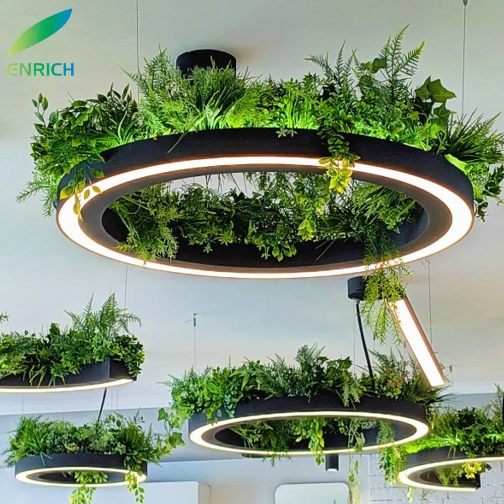 Modern Green Plants Round Circle LED Pendant Linear Light