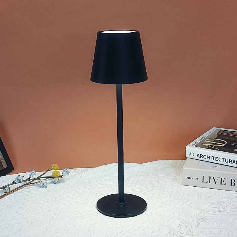 Modern Rechargeable LED Table Lamp with Touch Dimmer, Metal Pole Desk Light, USB Powered for Hotel/Office/Home Decor