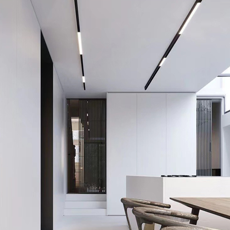 Modern Magnetic LED Track Lighting for Dual Aluminum Rail Systems