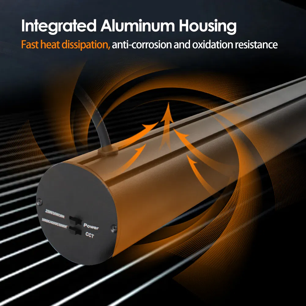 Indirect Light Photo 6