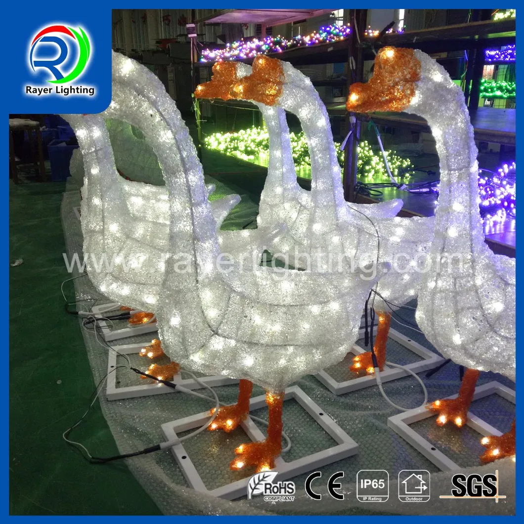 LED Duck Light 3