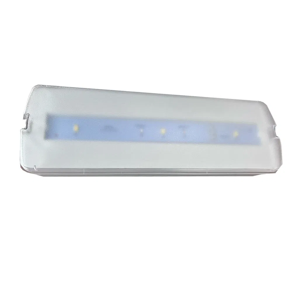 Auto Self-Test Customize Direct Luz De Emergencia Ni-CD Battery 3PCS LED 1.5W LED Rechargeable Emergency Light for Market