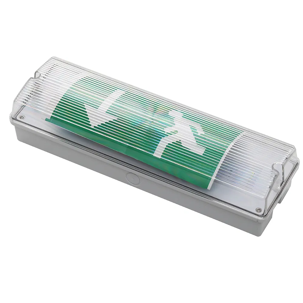 Emergency LED Light Detail