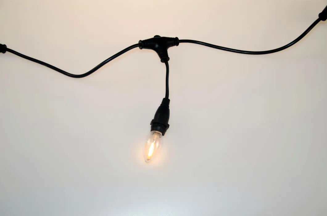 Decorative Lighting Detail