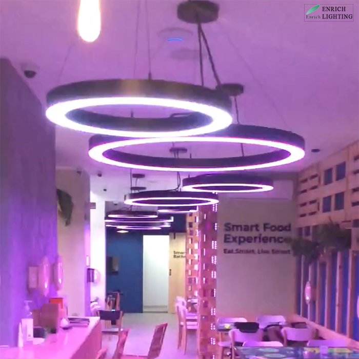 Multi Colors RGB LED Pendant Ring Light Profile RGB Ceiling Circle Light for Bar, Hotel, Lobby, Studio