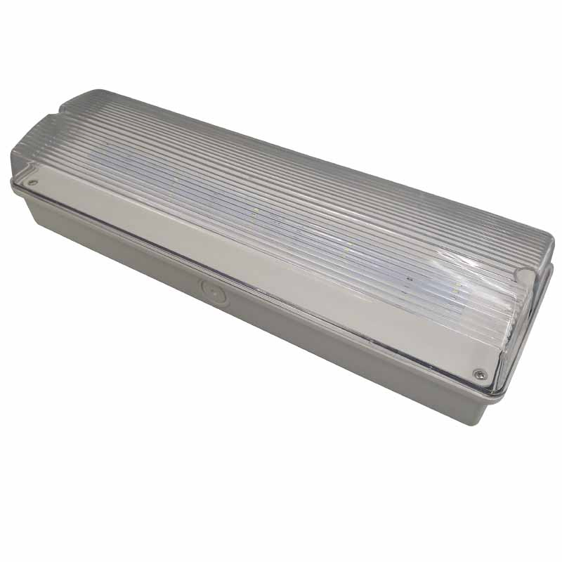 Exquisite Body IP65 Emergency LED Light with High-End Quality for Promotion
