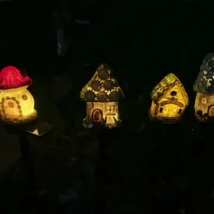 Solar Light Night View