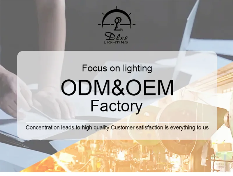 Modern Decoration LED Pendant Light