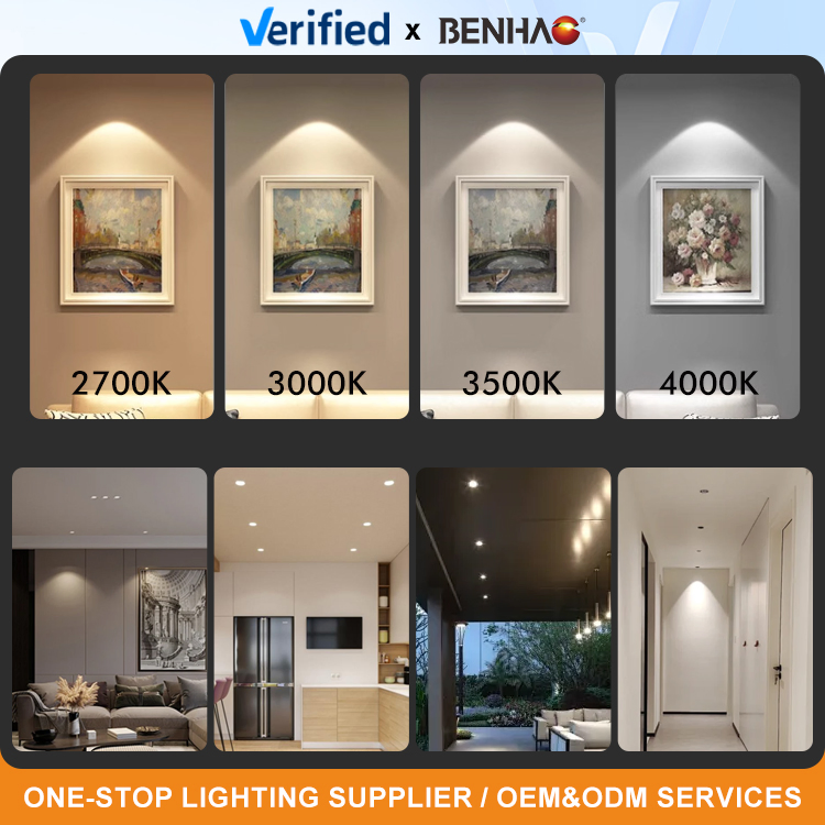 Factory Wholesale LED Light Indoor Ceiling 6W 220V MR16 GU10 Plug Type Spot Lighting COB LED Spotlight with Recessed Aluminum/Plastic Spotlight Housing