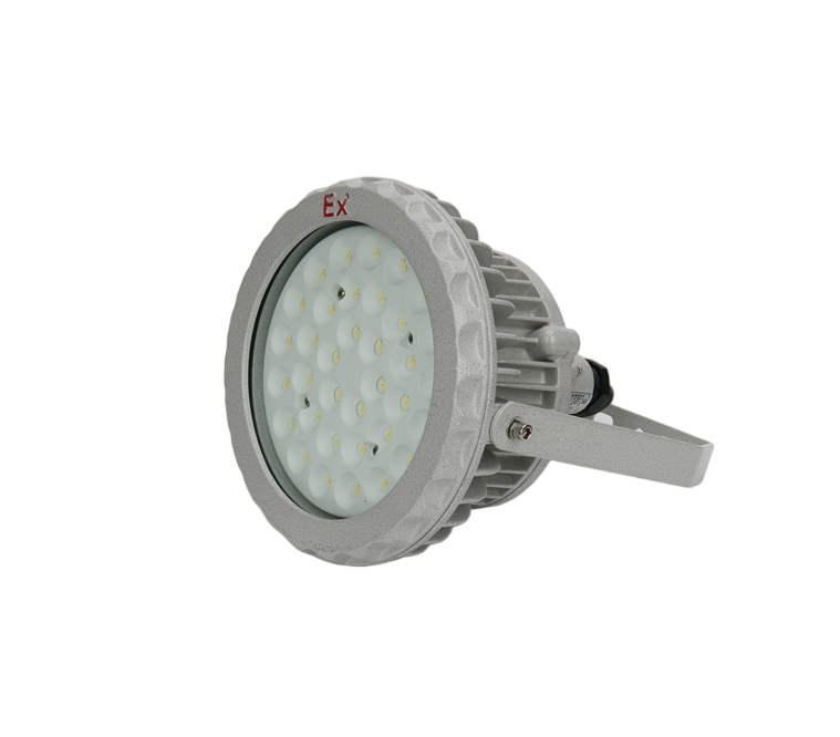 Industrial LED Explosion-Proof Light, 70W/100W, 220V, IP65/66, Wf1/Wf2, 100000h Lifespan