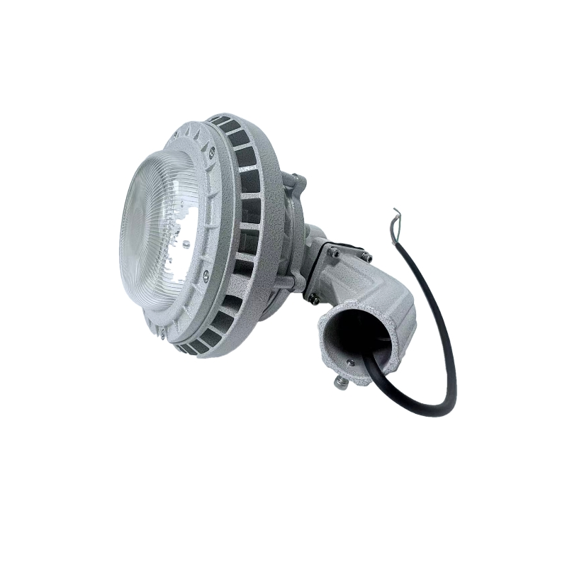 Explosion Proof Light 30W~300W Hdr91 Applicable to Each Factory Building