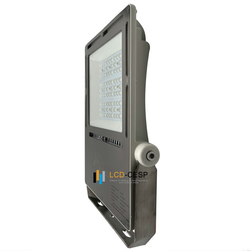 Marine LED Floodlight 50-1000W, Designed for Ship, Dock, and Port, IP66 Waterproof, Anti-Corrosion Coating, Long Life 5years Warranty, Stainless Steel Bracket