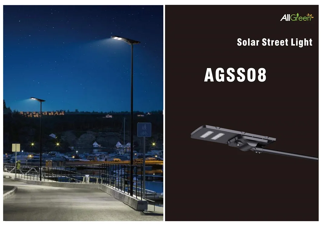 Solar Street Light Detail 1