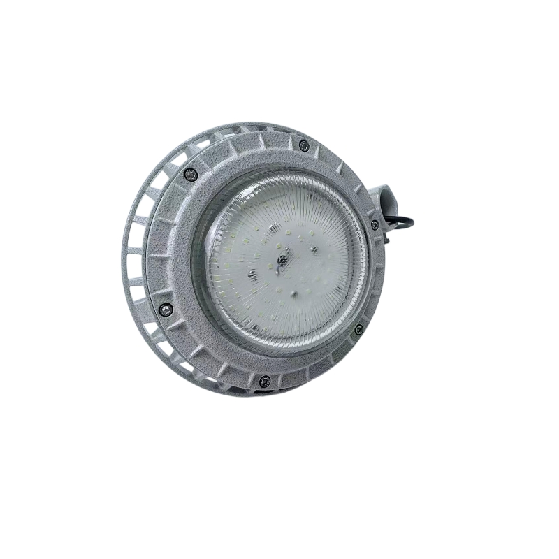 Aluminum Alloy Industrial LED Explosion Proof Lamp 30W Hrd91-a-3