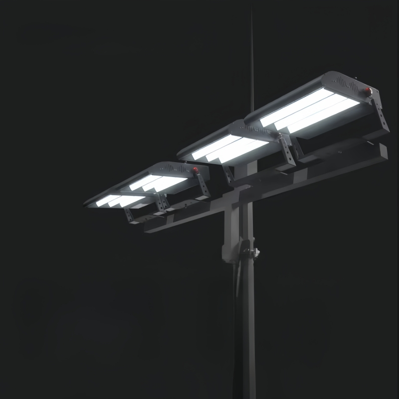 High Standard Stadium Lights 350W 500W 800W IP66 LED High Mast Lighting