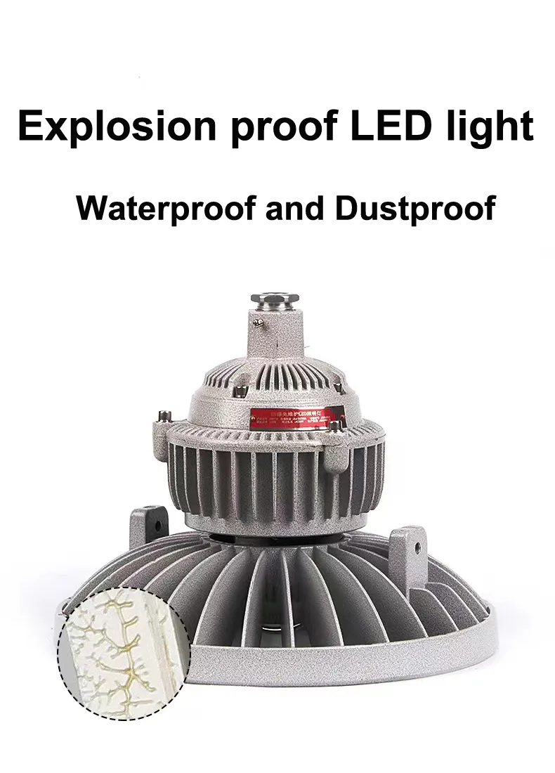 Explosion Proof Light Detail 3