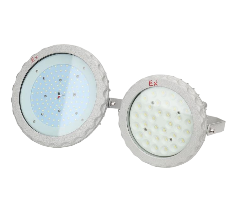 Industrial LED Explosion-Proof Light, 70W/100W, 220V, IP65/66, Wf1/Wf2, 100000h Lifespan