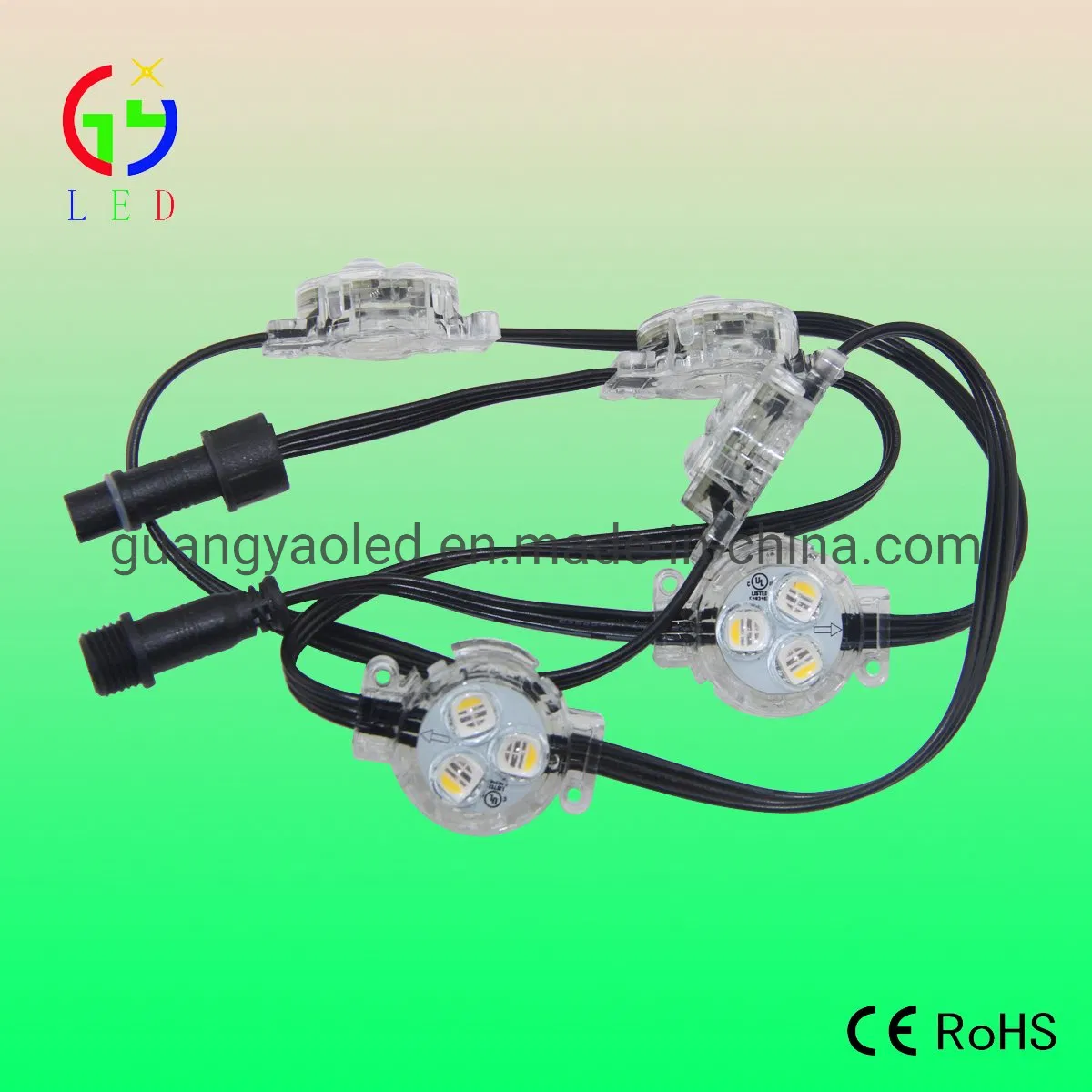 Newest LED Point RGB RGBW Chasing Color Holiday Permanent Lights