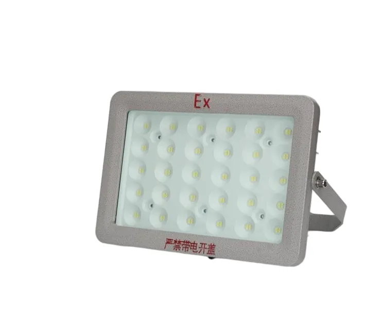 Explosion-Proof Light Detail 3