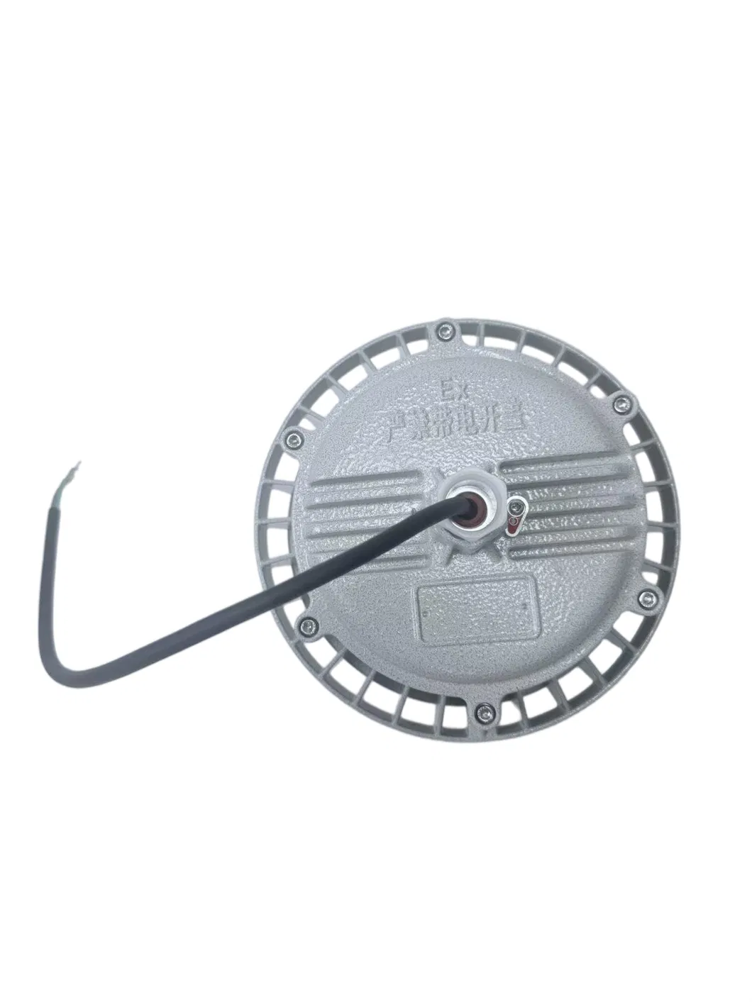 Explosion Proof Light View 3