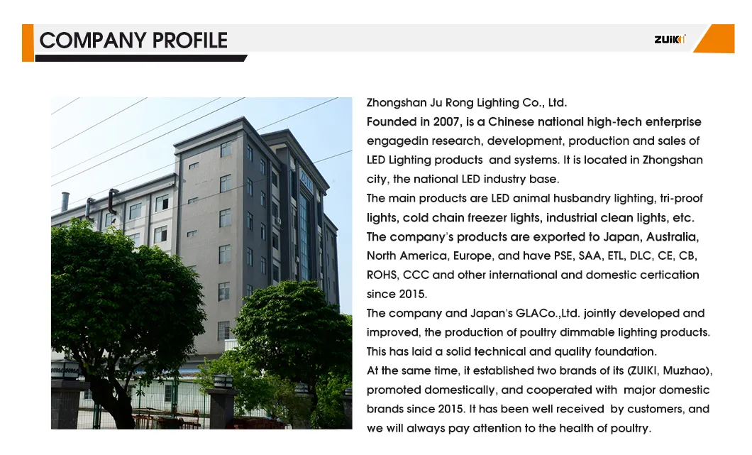 Lighting Performance