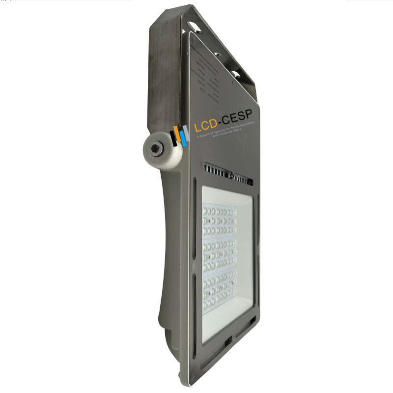 Marine LED Floodlight 50-1000W, Designed for Ship, Dock, and Port, IP66 Waterproof, Anti-Corrosion Coating, Long Life 5years Warranty, Stainless Steel Bracket