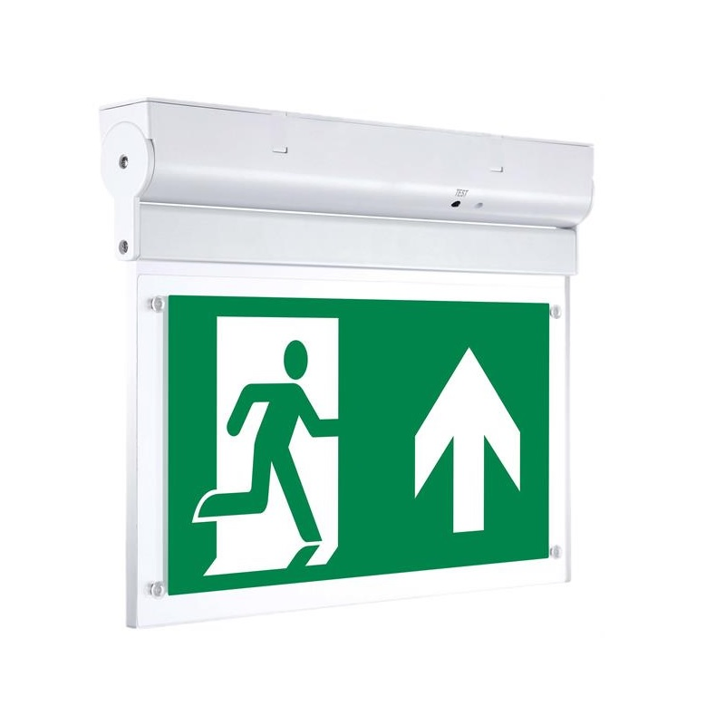 Maintained High Quality Sign CE Certified Factory Price Durable LED Warning Rechargeable Battery Backup Exit Customized Emergency Light