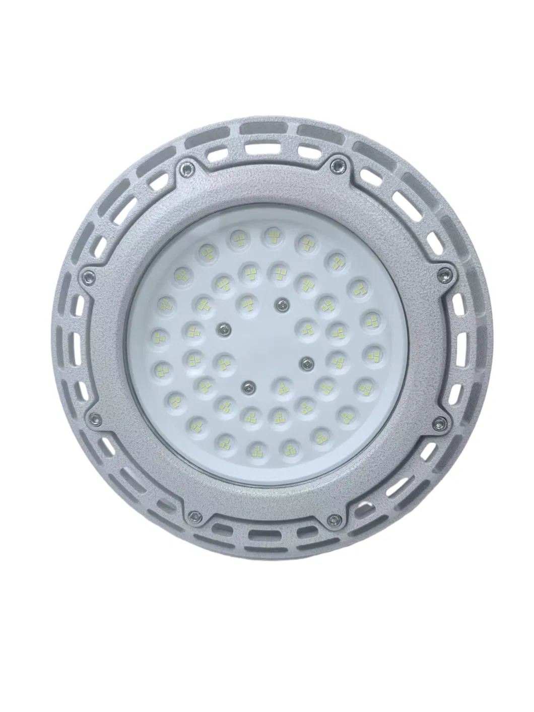 Explosion Proof Light View 2