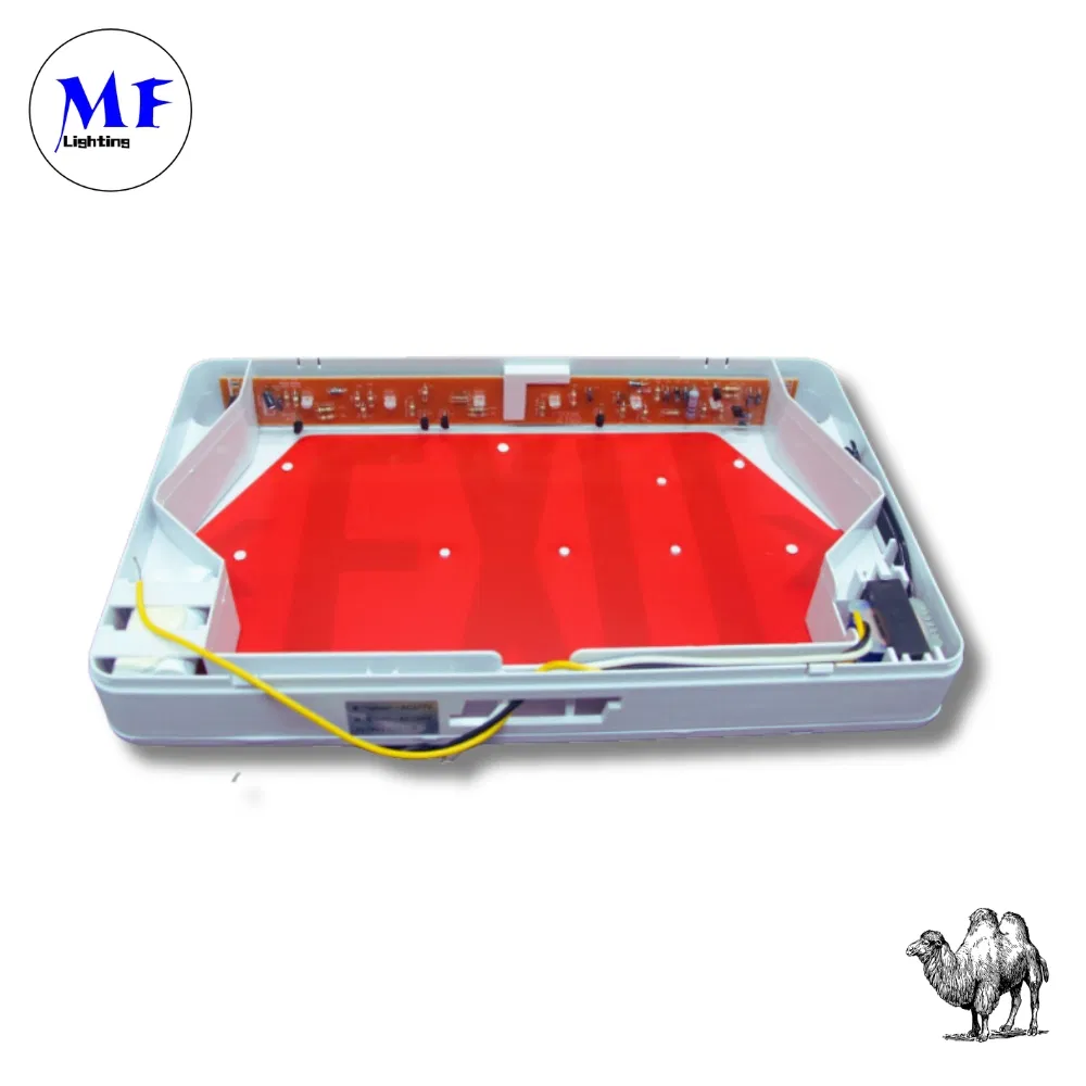 Factory Price IP43 Certified 3W LED 2h Backup Waterproof Fire-Resista Photoluminescent Factory School Emergency Exit Sign Lights for Indoor Commercial Buildings