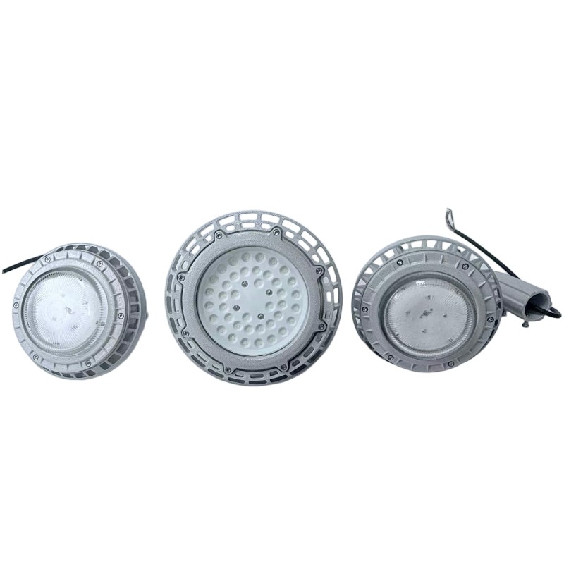 Explosion Proof Light 30W~300W Hdr91 Applicable to Each Factory Building