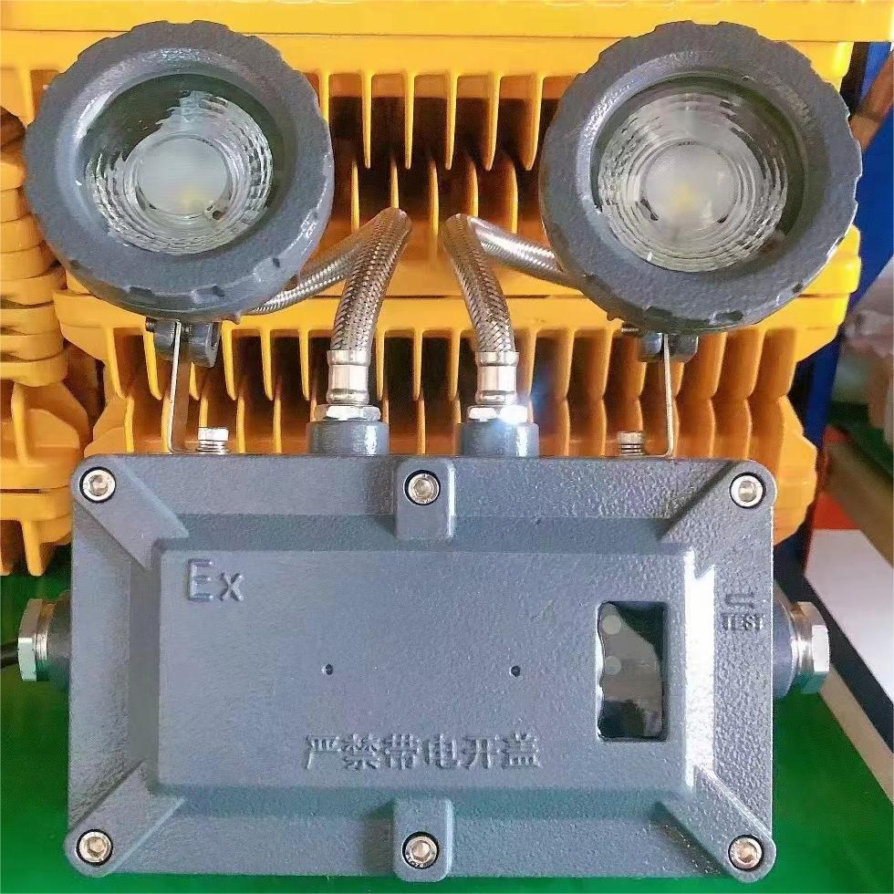 Wall Mounted Double Heads Battery Backup Explosion Proof LED Emergency Fire Light