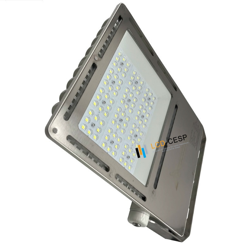 Marine LED Floodlight 50-1000W, Designed for Ship, Dock, and Port, IP66 Waterproof, Anti-Corrosion Coating, Long Life 5years Warranty, Stainless Steel Bracket