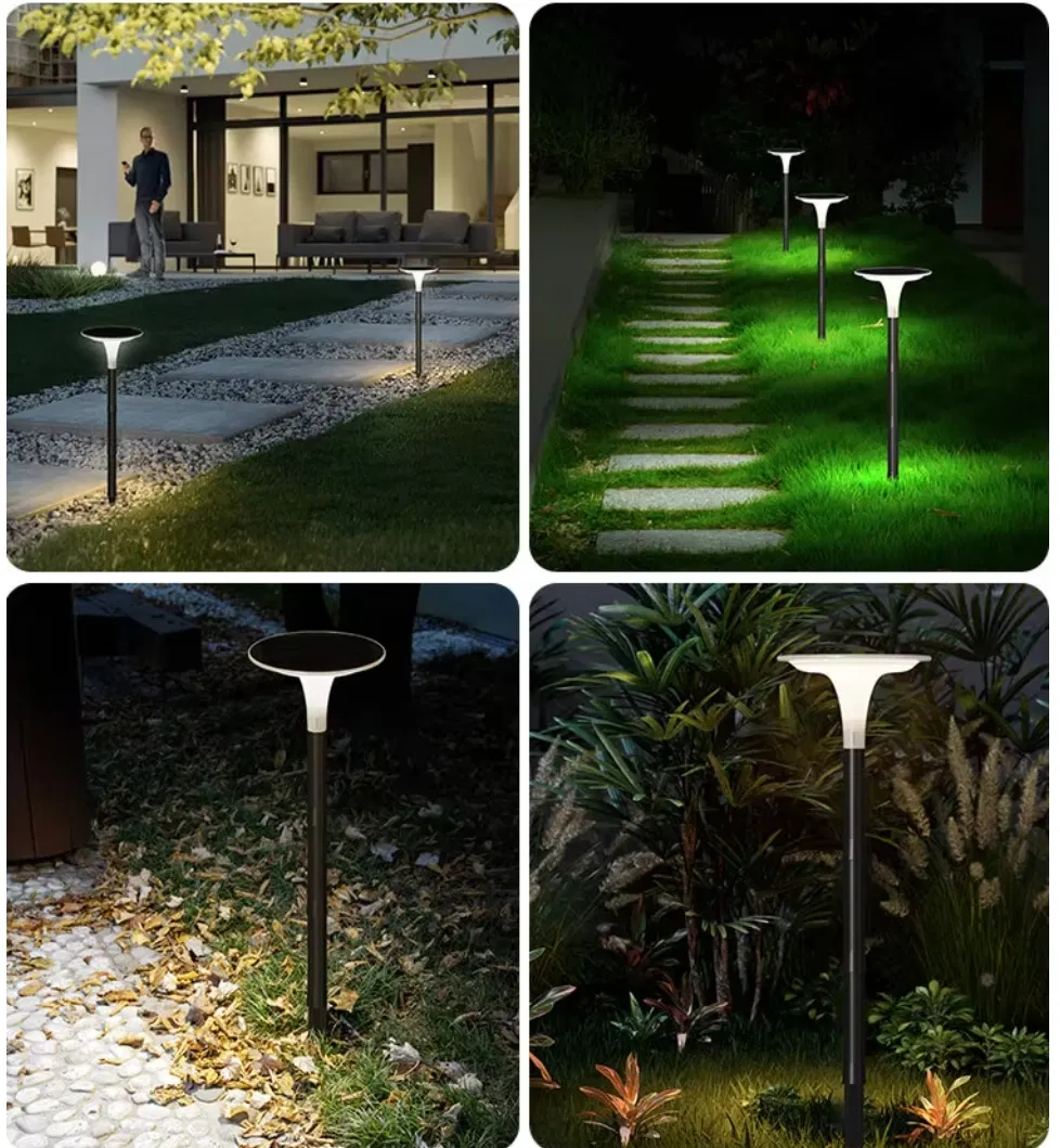 Solar Powered Yard Pathway Light