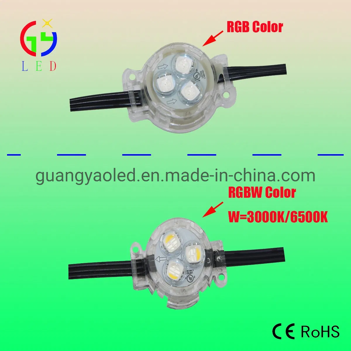 Newest LED Point RGB RGBW Chasing Color Holiday Permanent Lights