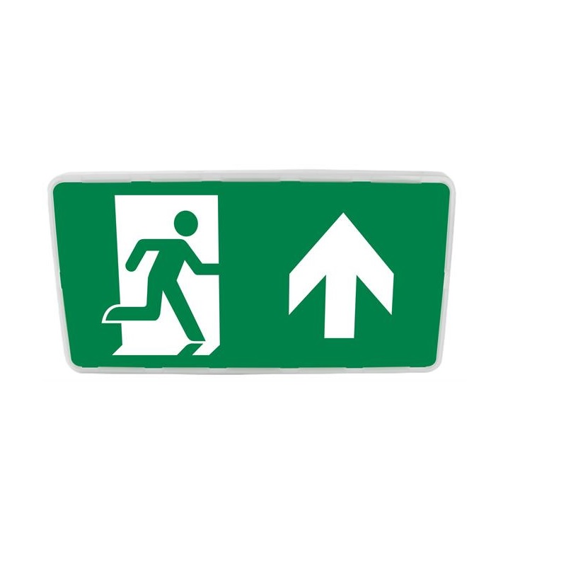 Maintained High Quality Sign CE Certified Factory Price Durable LED Warning Rechargeable Battery Backup Exit Customized Emergency Light